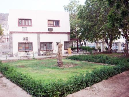 أعمال تشجير وتحسين حديقة نقابة الصحفيين